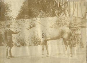 Courtesy of Mary Oats.